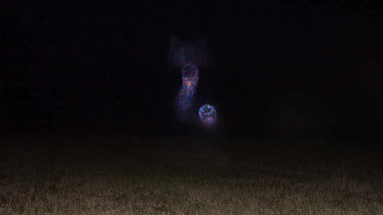 Gräsmatta i mörker med blå-röda ljuspunkter ovanför