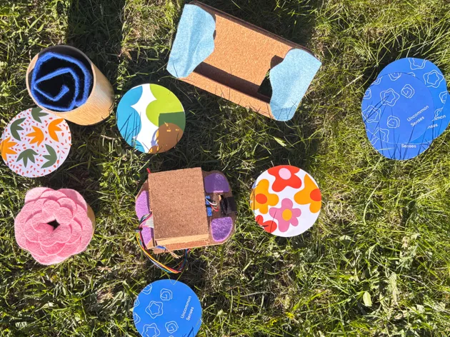 How might we reimagine ways of care and connection in multispecies entanglements? – Anjuli Acharya / MFA IxD