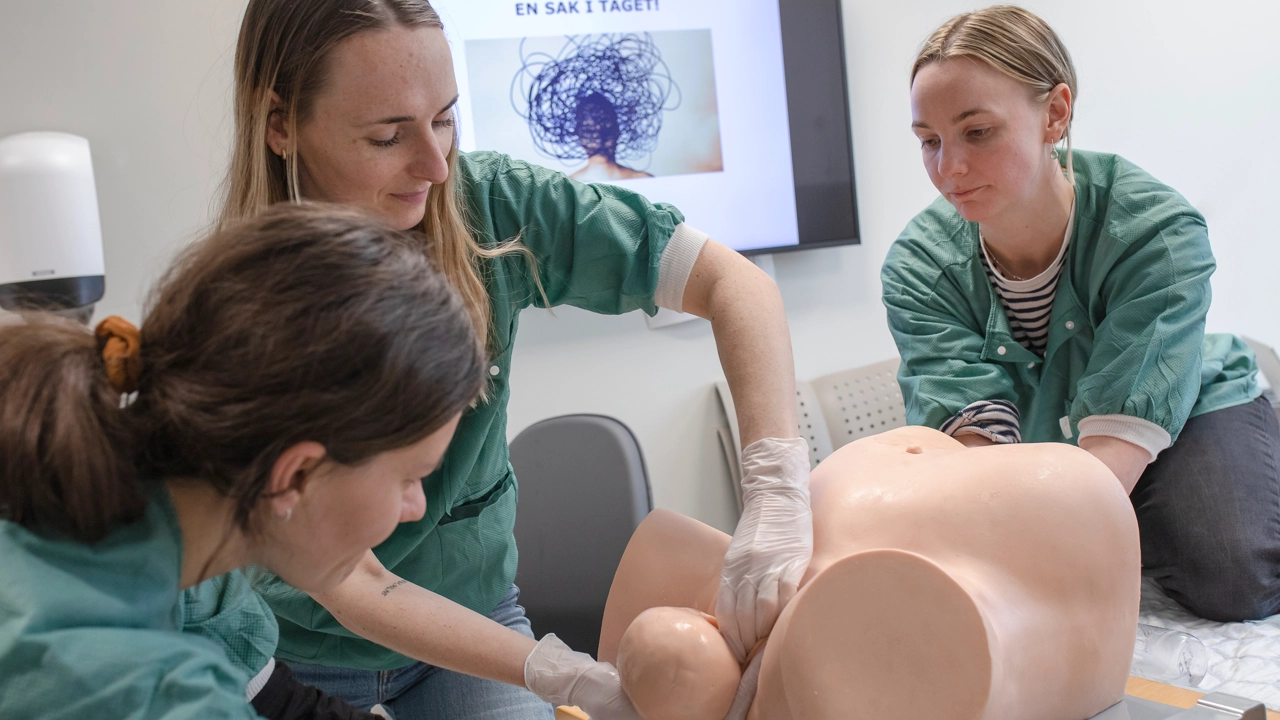 Som barnmorska möter du personer under hela livscykeln - från ungdomar, blivande föräldrar till den äldre kvinnan.