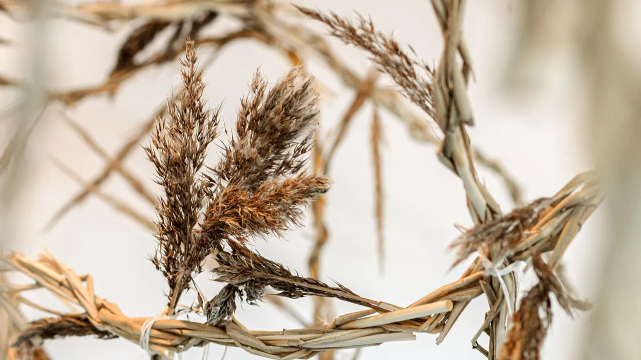 Detalj av verk av gräs