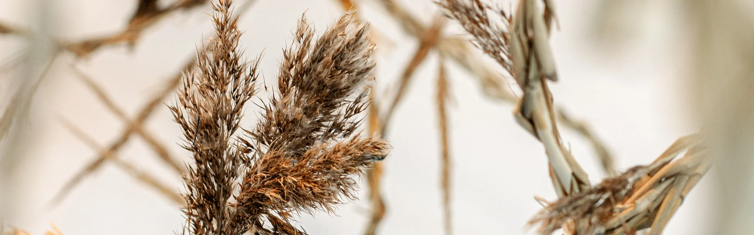 Detalj av verk av gräs