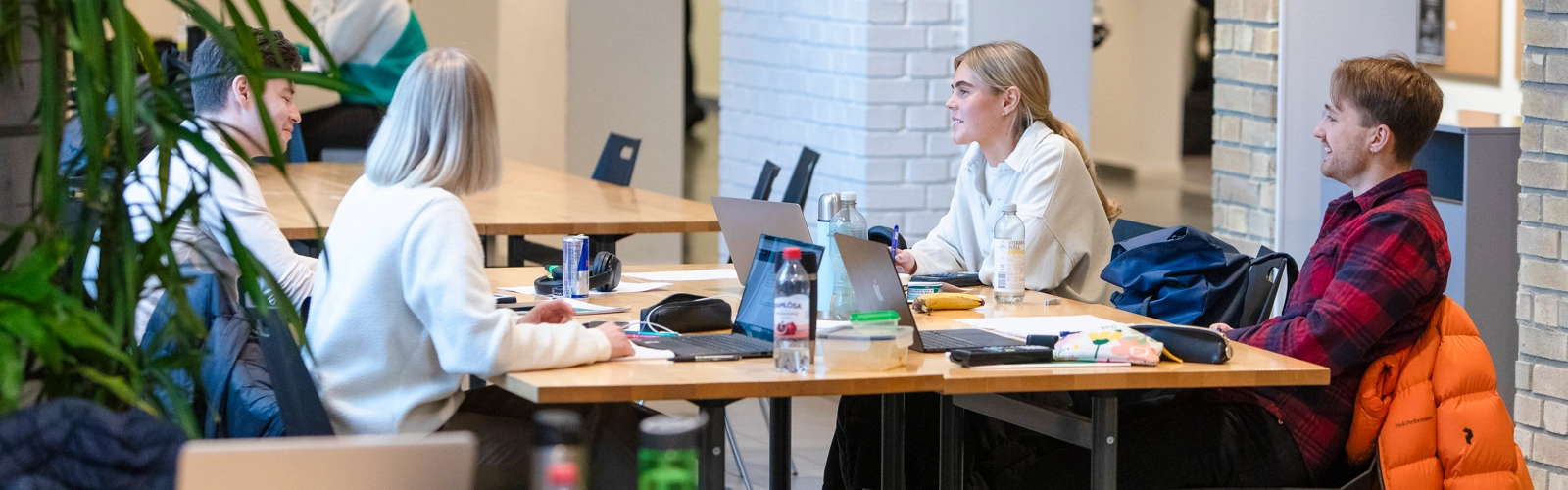 Studenter som grupparbetar i Naturvetarhuset.