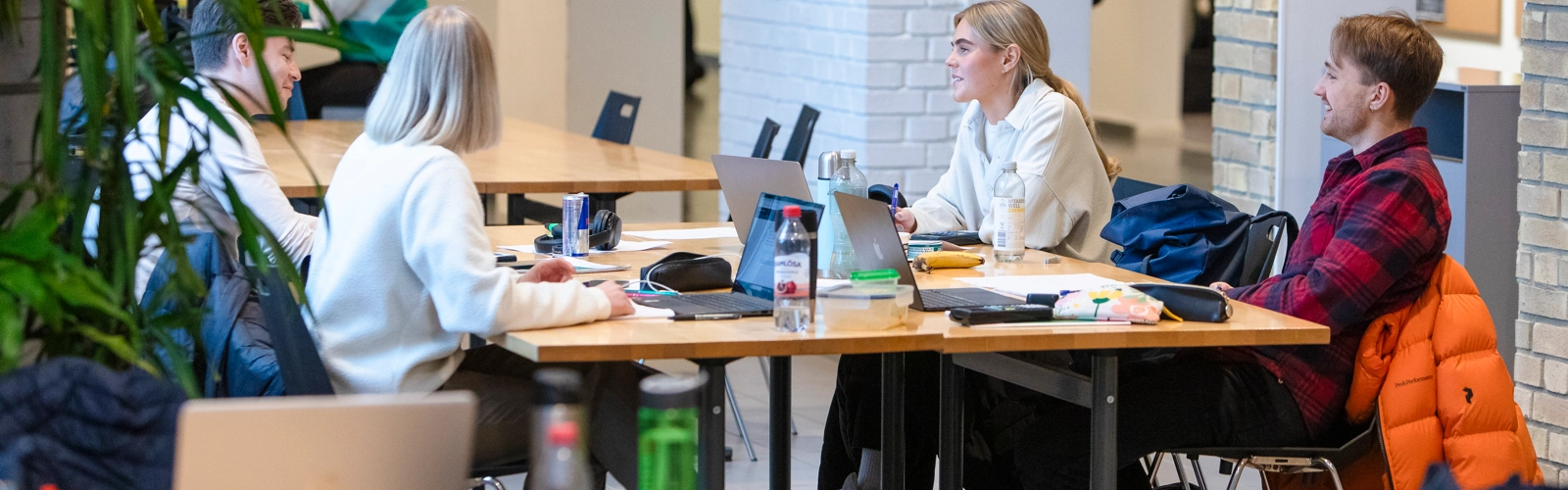 Studenter som grupparbetar i Naturvetarhuset.