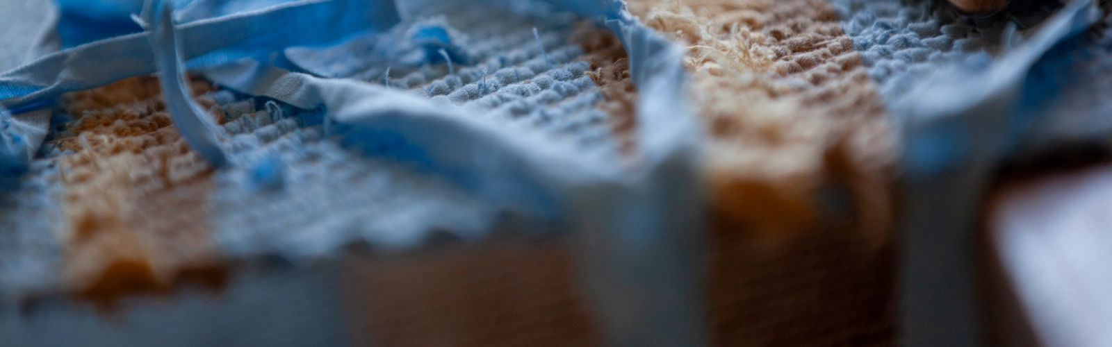 Utbytesstudenter på excursion