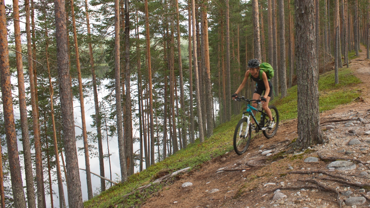 En person som cyklar på en rullstensås i tallskog. nedanför ses en älv