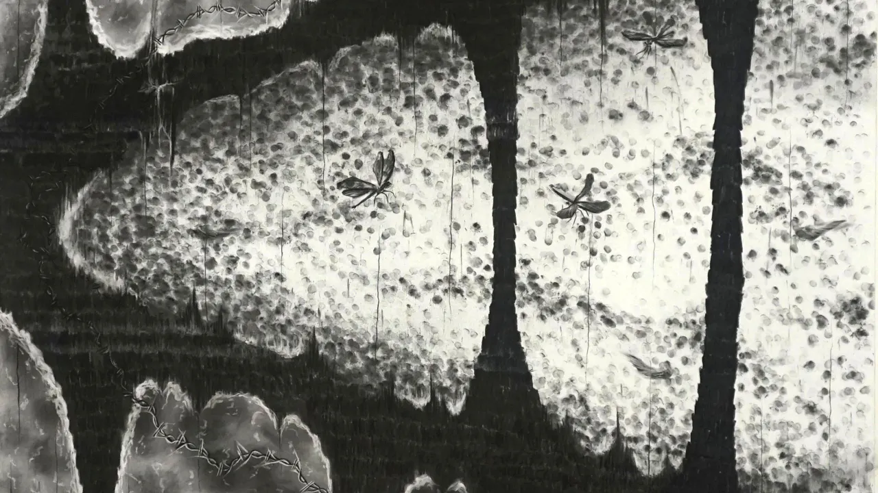 Ljusa grå former på svart bakgrund