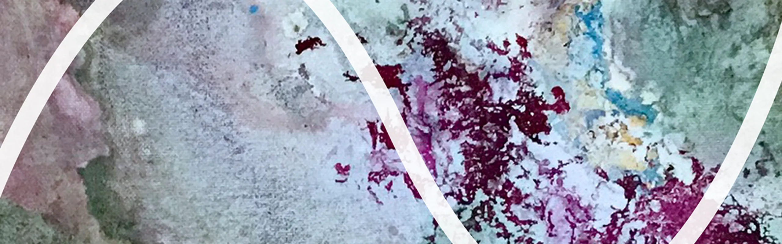 Vit kurva på olikfärgad bakgrund