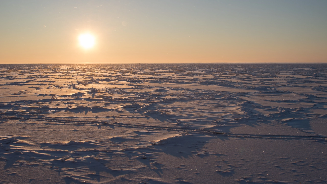Bild på solnedgång över havsis