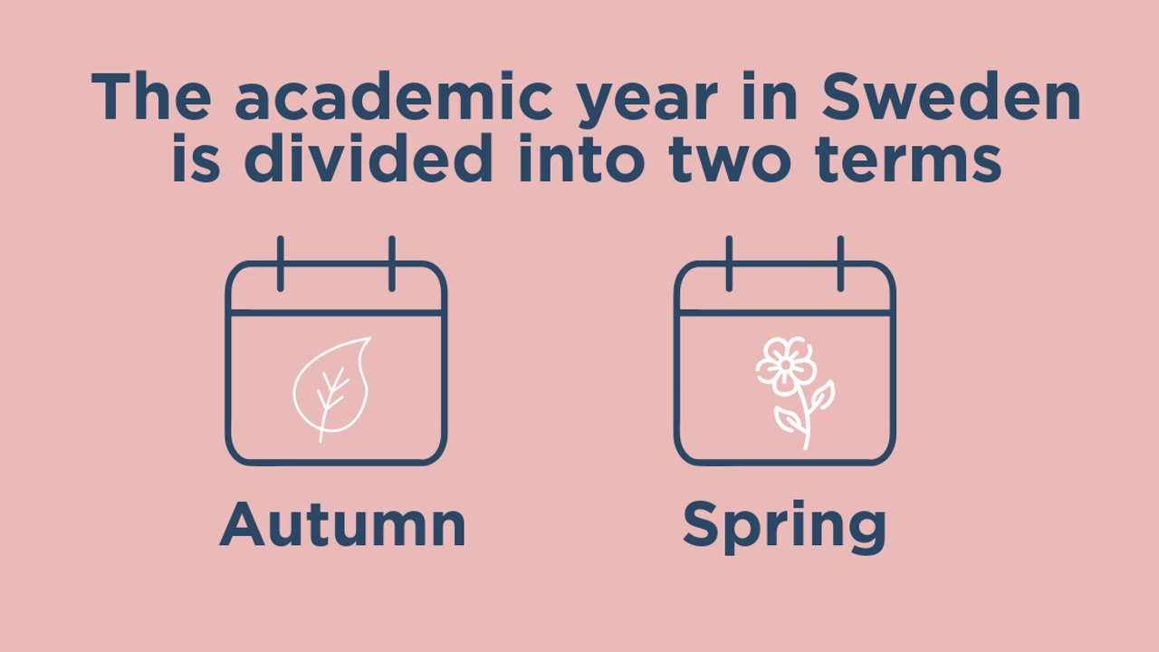 Video: Overview of the Swedish study system