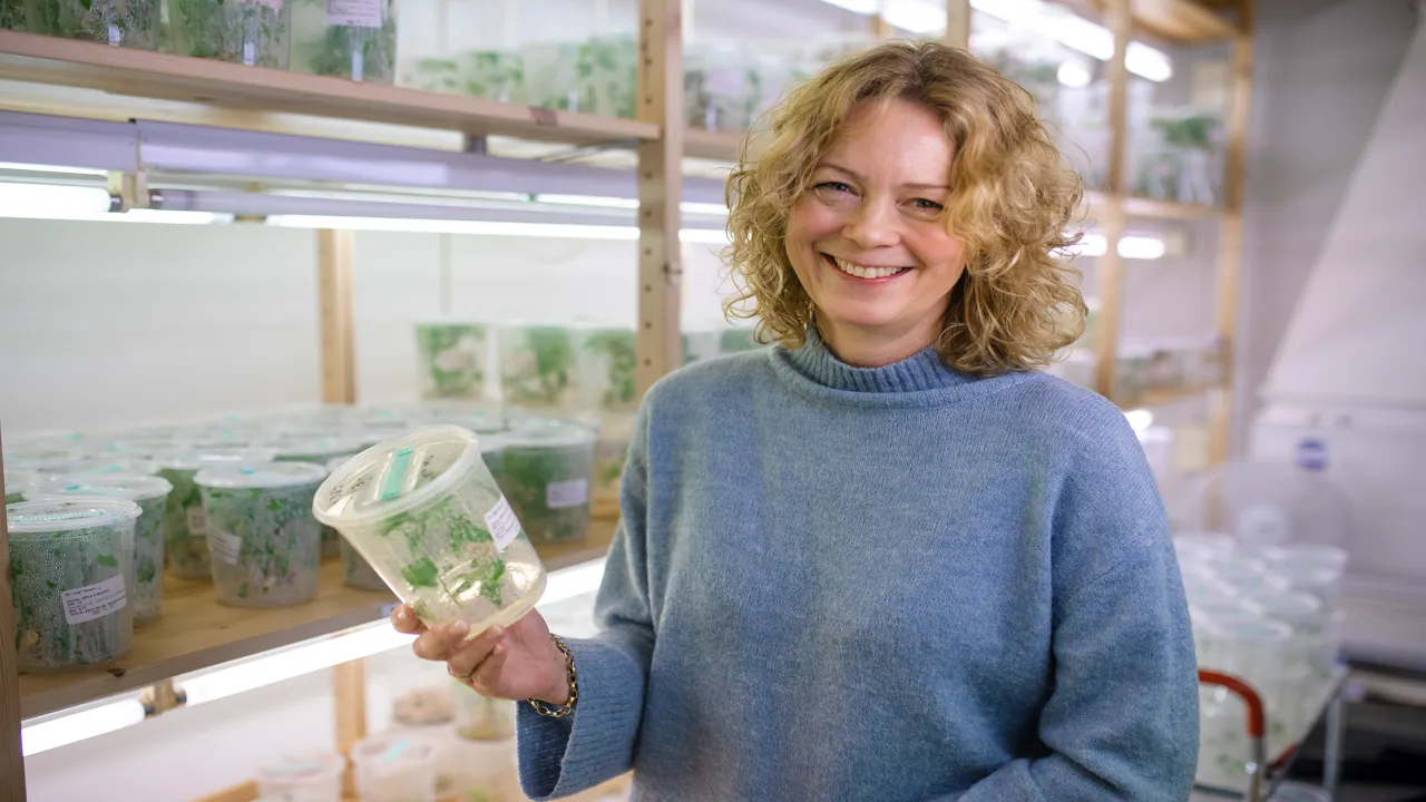 Åsa Strand,  professor vid Institutionen för fysiologisk botanik