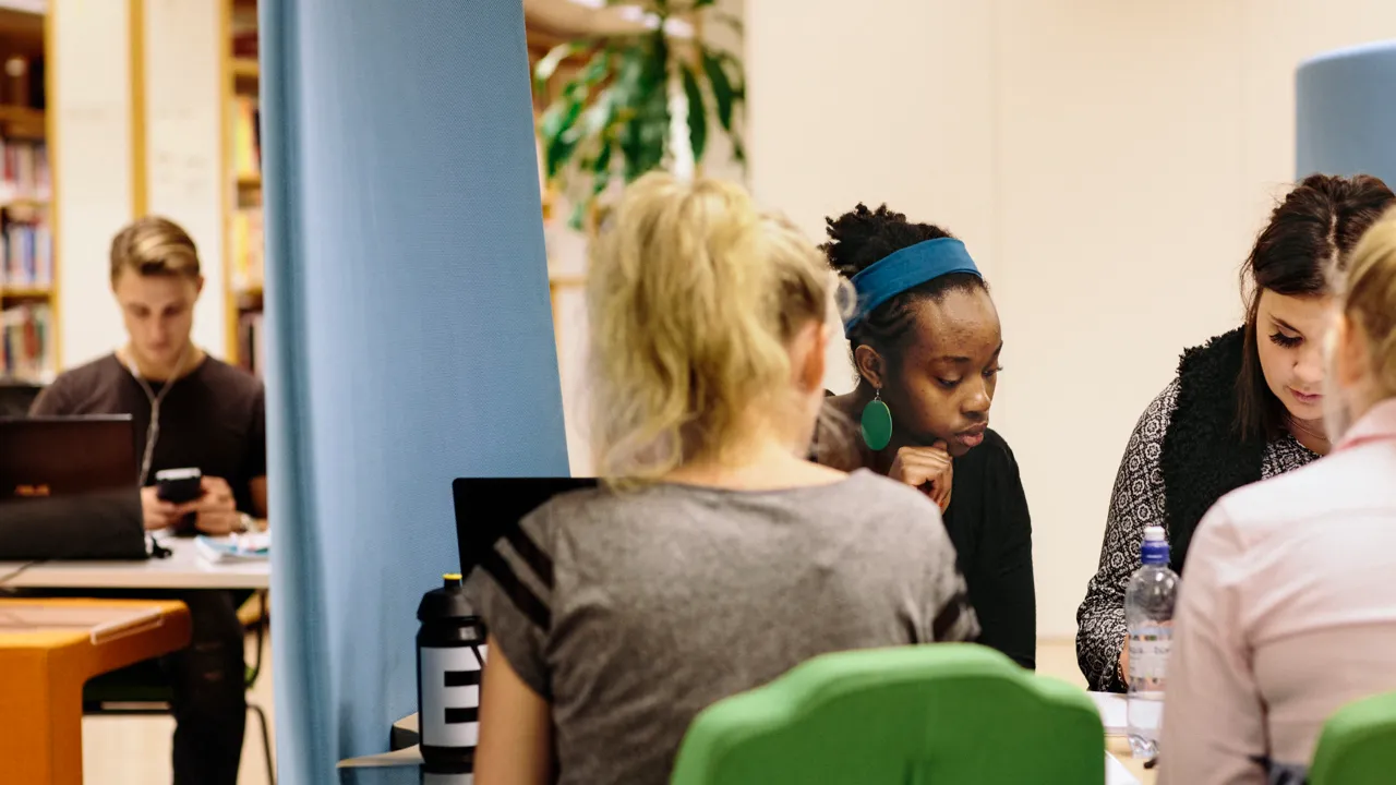 Picture of students working in a group.