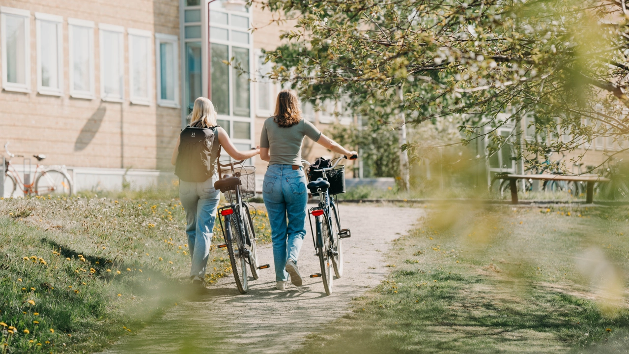 Två kvinnor går och leder varsin cykel på en grusväg.