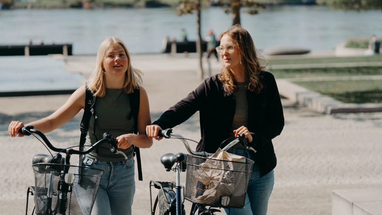 Studenter som njuter av höstsolen utanför Lindellhallen på Campus Umeå.
