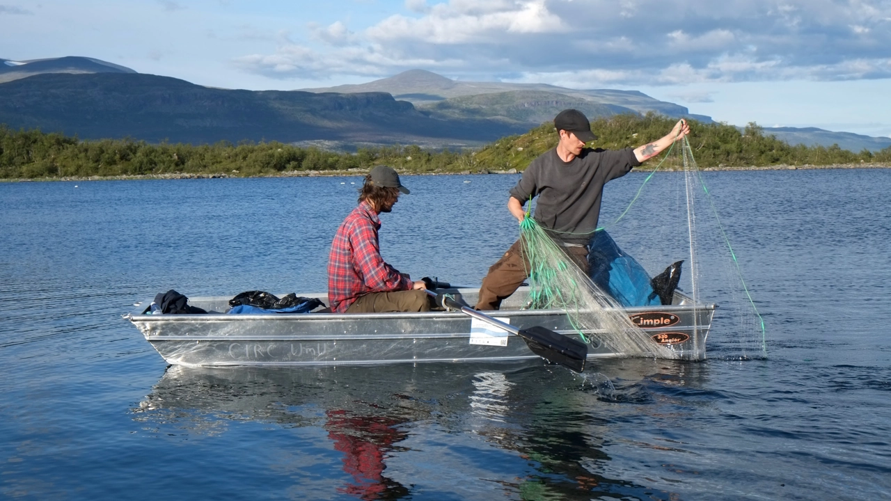 Bild på Sven Norman för fältarbete i Abisko