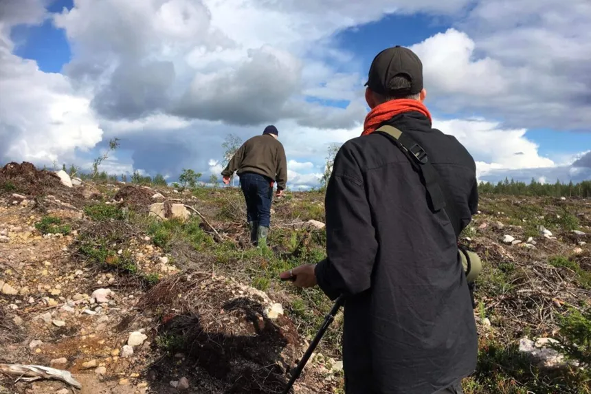 Två personer på ett kalhygge
