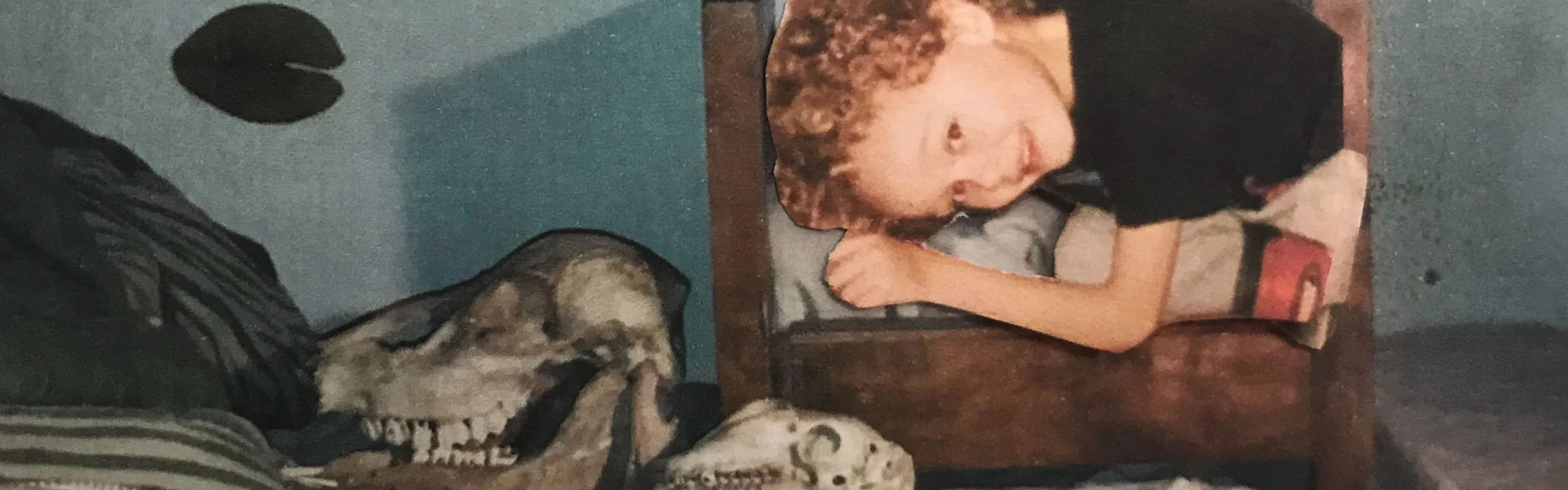 En person håller upp en vit enhörning