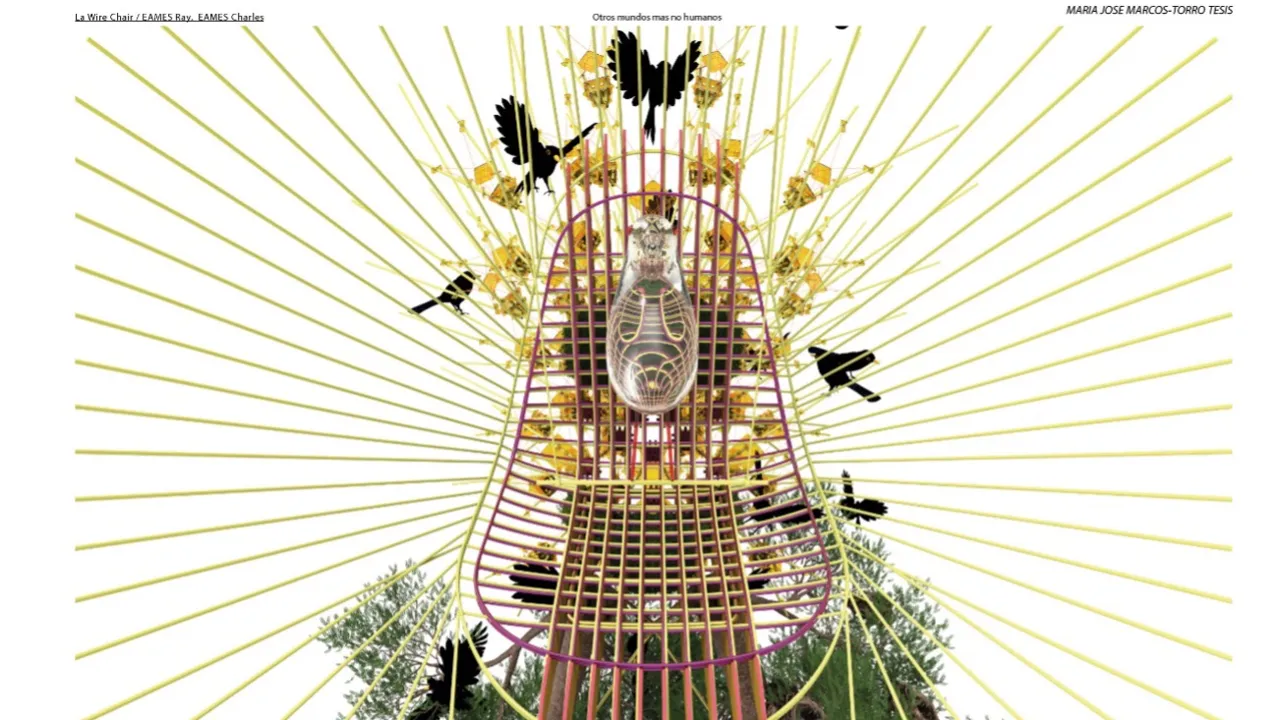 Illustration by lecturer – lines, birds, plants