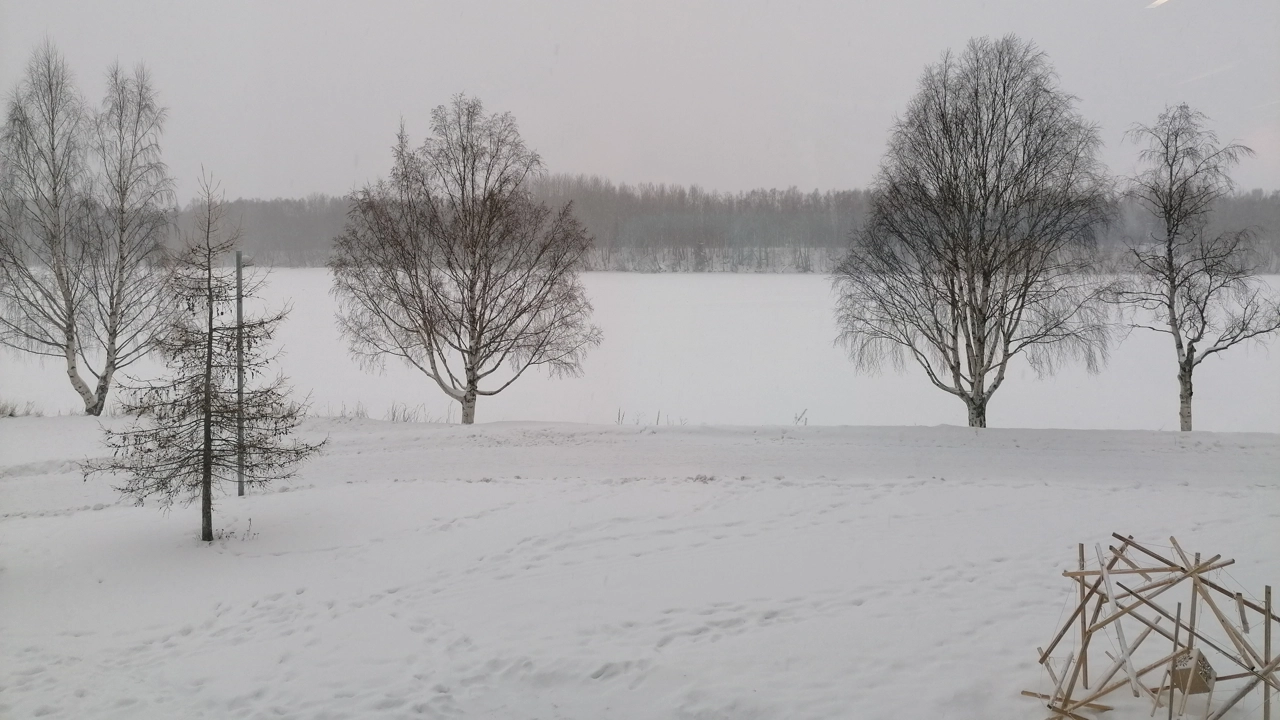 winter scene outside Umeå School of Architecture with snow on ground and river, some trees and a concept model scale 1:1 in wood
