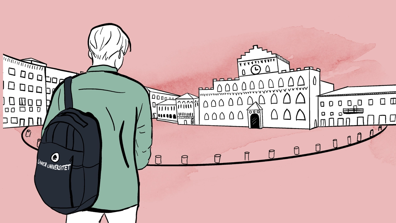  Person with Umeå University bag arrives at an older university.