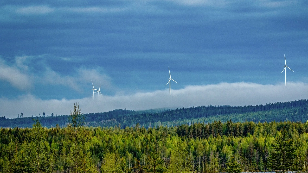 Bild på skog med vindkraftverk