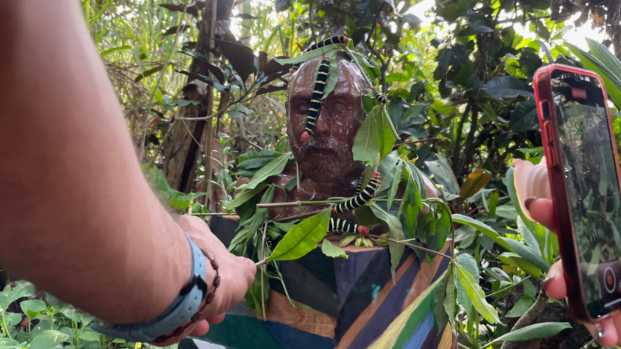 Untitled #02 (Pedestal Butterfly Garden) 2022