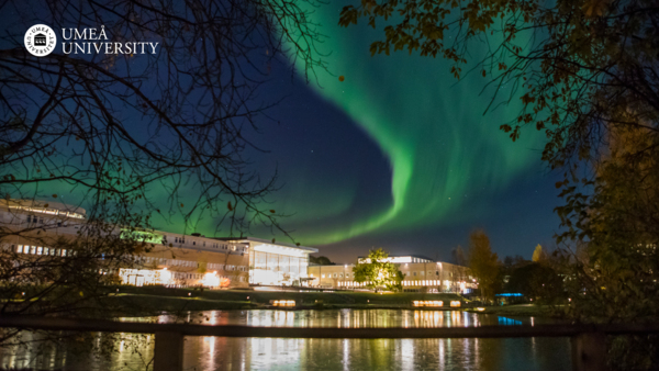 Northern lights at Umeå University campus