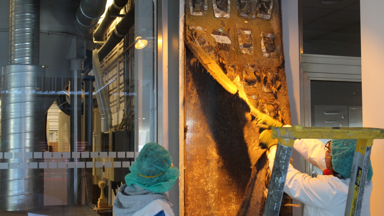 The taking down of the plant wall at the Arts Campus