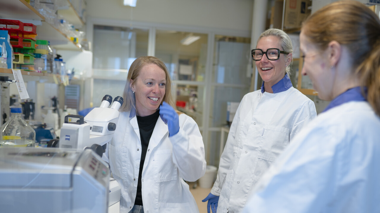 Anna Överby Wernstedt, Umeå universitet