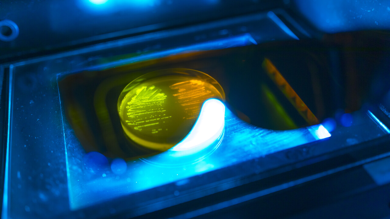 MIMS Biannual Report 2023-2024 cover