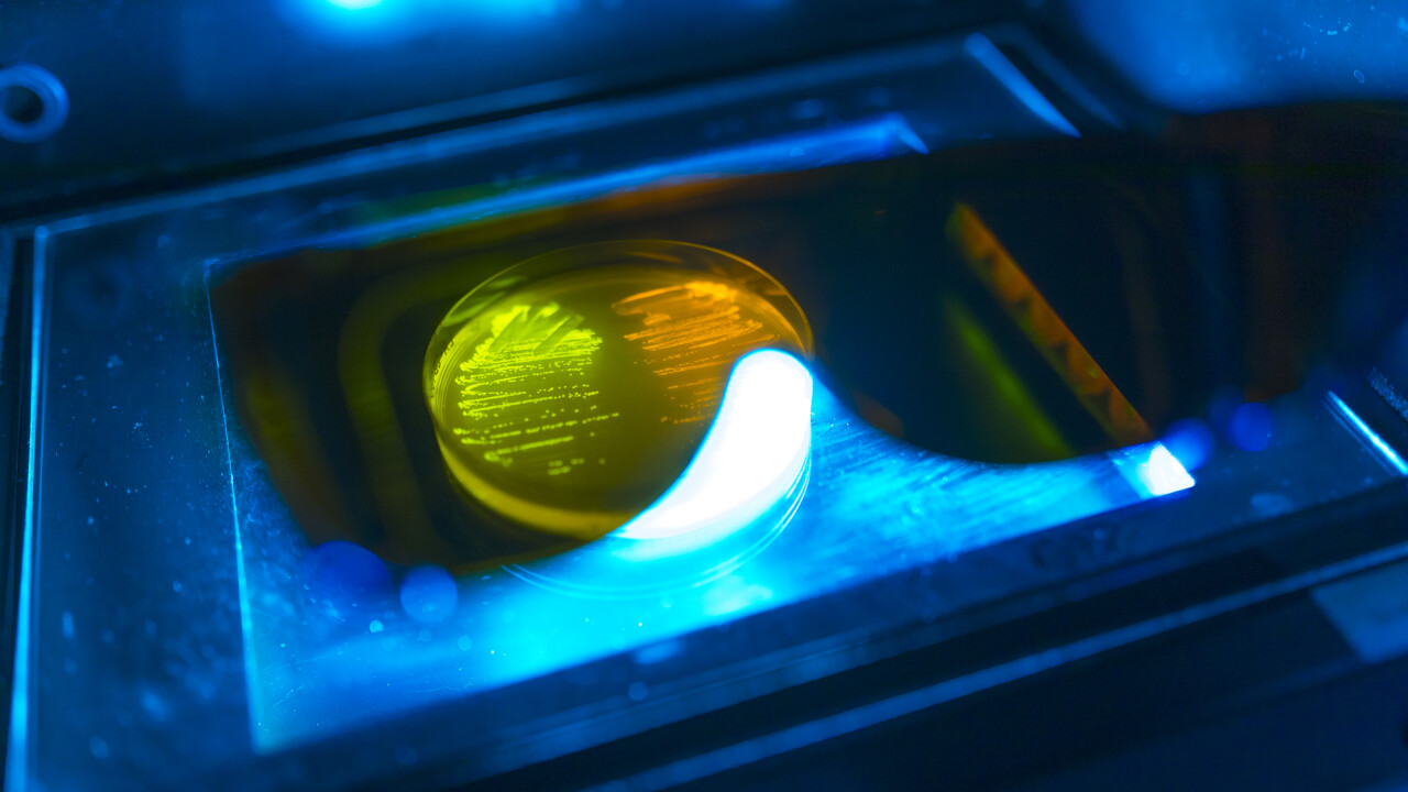 MIMS årsrapport för 2023-2024